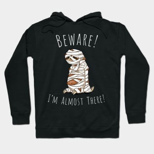 I'm Almost There Lazy Slow Sloth Pun Halloween Mummy Hoodie